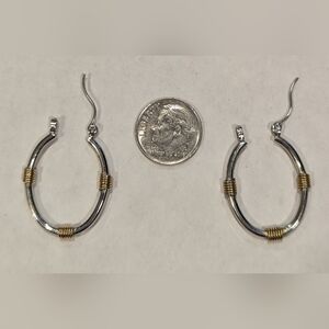 Two-tone hoop earrings.